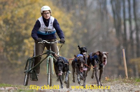 Trnavka 08 - 366.jpg